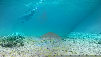 7 Day Philippines Express (G Adventures)