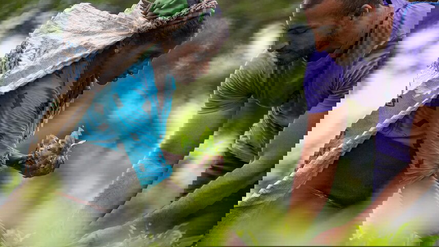 Journeys: Discover Sri Lanka