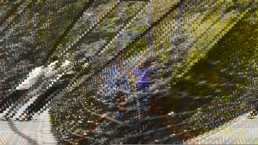 Journeys: Iconic Thailand