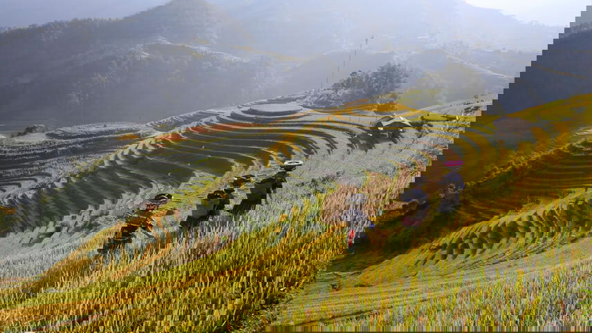 North & Central Vietnam: Hanoi, Hoi An & Countryside Adventures