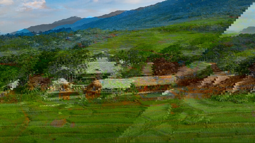 Southeast Asia Immersion: Vietnam, Cambodia, Thailand & Laos