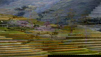 14 Day Classic Vietnam: Sapa to Ho Chi Minh (G Adventures)