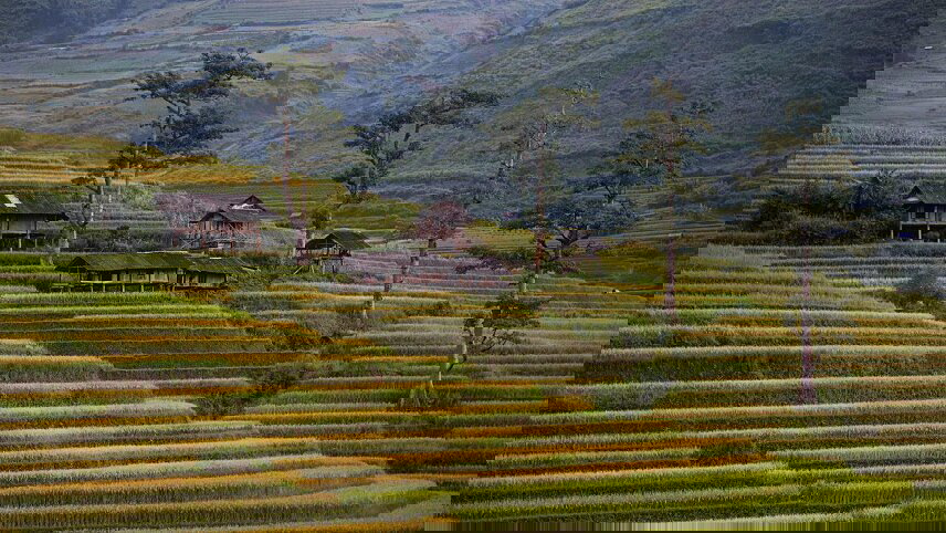 Classic Vietnam: Sapa to Ho Chi Minh