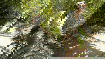 7 Day Solo-ish Belize (G Adventures)