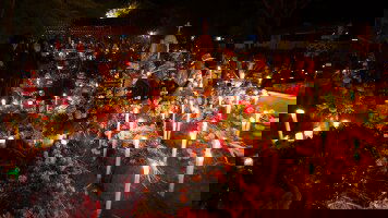 7 Day Journeys: Mexico's Day of the Dead in Oaxaca (G Adventures)