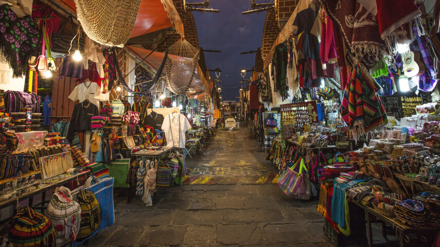 Central Mexico: Oaxaca to Mexico City