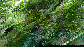 32 Day Basic Central America: Mexico to Costa Rica (G Adventures)