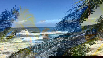 13 Day Costa Rica to Panama: Surf, Treks & Starry Skies (G Adventures)