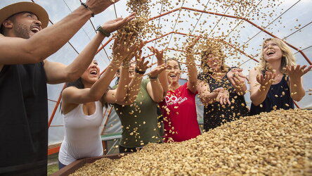 14 Day Journeys: Explore Costa Rica (G Adventures)