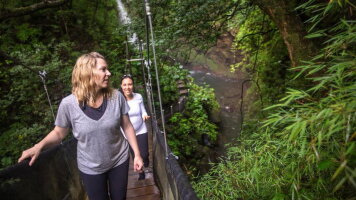 6 Day Costa Rica: The Wonders & Wildlife of the North (G Adventures)