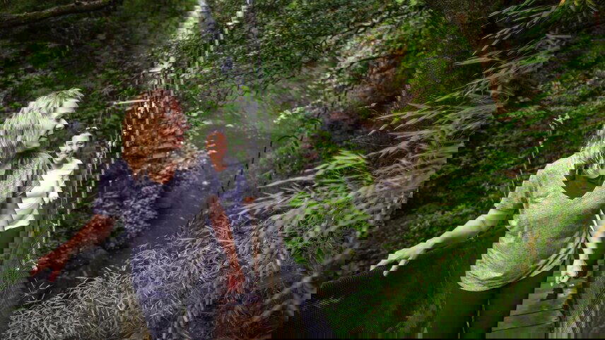 Costa Rica: The Wonders & Wildlife of the North