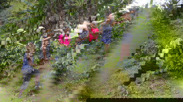 14 Day Costa Rica: Wildlife, National Parks & Hidden Gems of the Northwest (G Adventures)