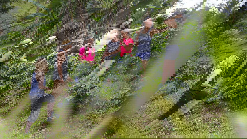 Costa Rica: Wildlife, National Parks & Hidden Gems of the Northwest