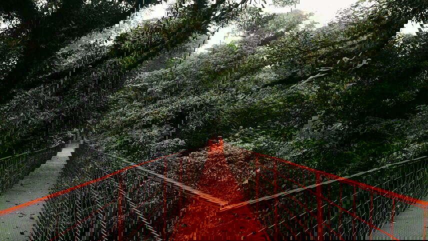 Signature: Costa Rica's Tortuguero, Arenal & Cloud Forests