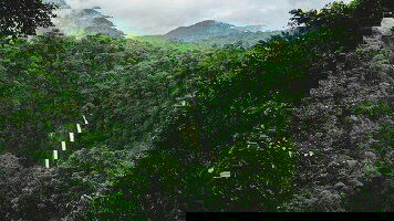 9 Day Signature: Costa Rica's Monteverde, Arenal & Guanacaste (G Adventures)