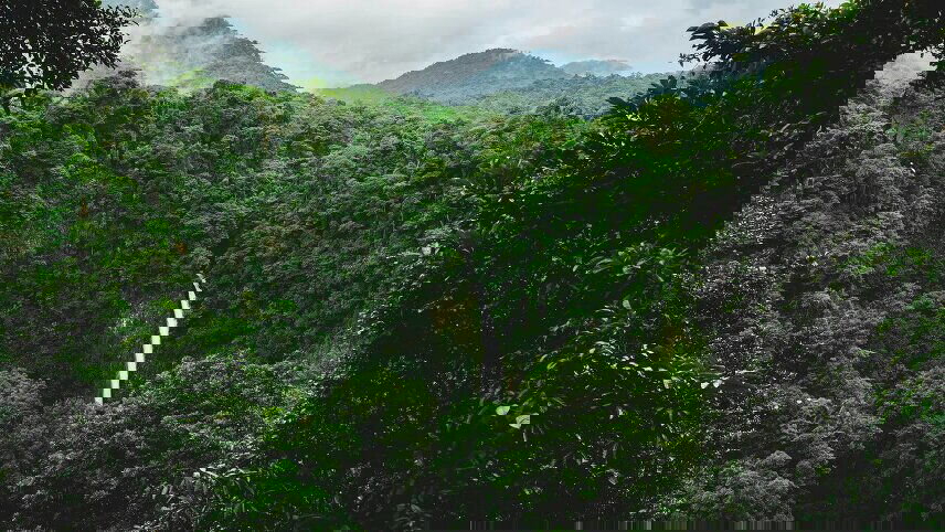 Signature: Costa Rica's Monteverde, Arenal & Guanacaste