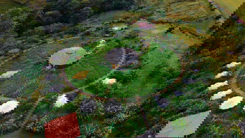 Costa Rica: The Osa Peninsula & Manuel Antonio National Park