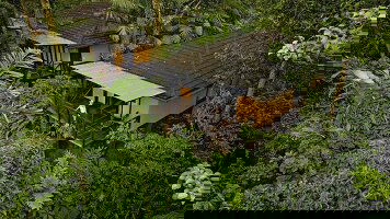 8 Day Costa Rica: Tortuguero, La Fortuna & Rio Celeste (G Adventures)