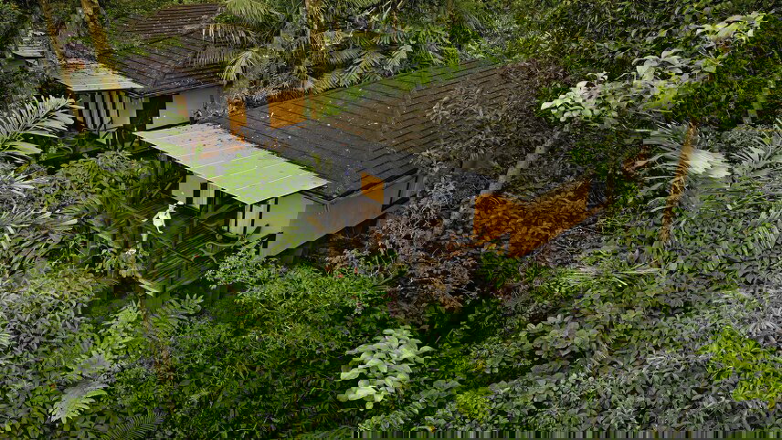 Costa Rica: Tortuguero, La Fortuna & Rio Celeste