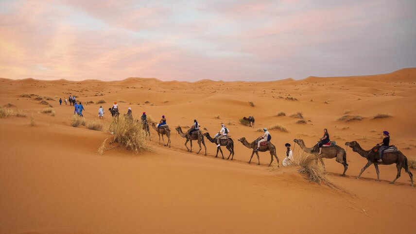 Moroccan Desert Adventure: River Canyons & Camels