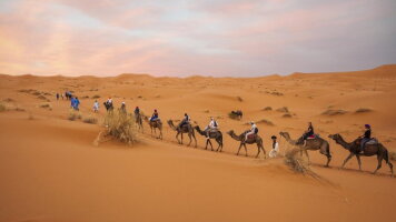 7 Day Moroccan Desert Adventure: River Canyons & Camels (G Adventures)