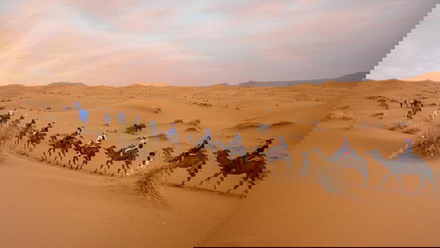 Moroccan Desert Adventure: River Canyons & Camels