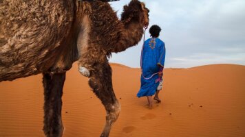 18 Day Complete Morocco: The Sahara to the Coast (G Adventures)
