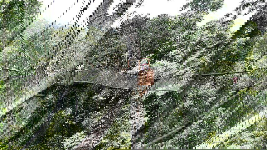 Ghana: Beaches & Breathtaking Coastlines