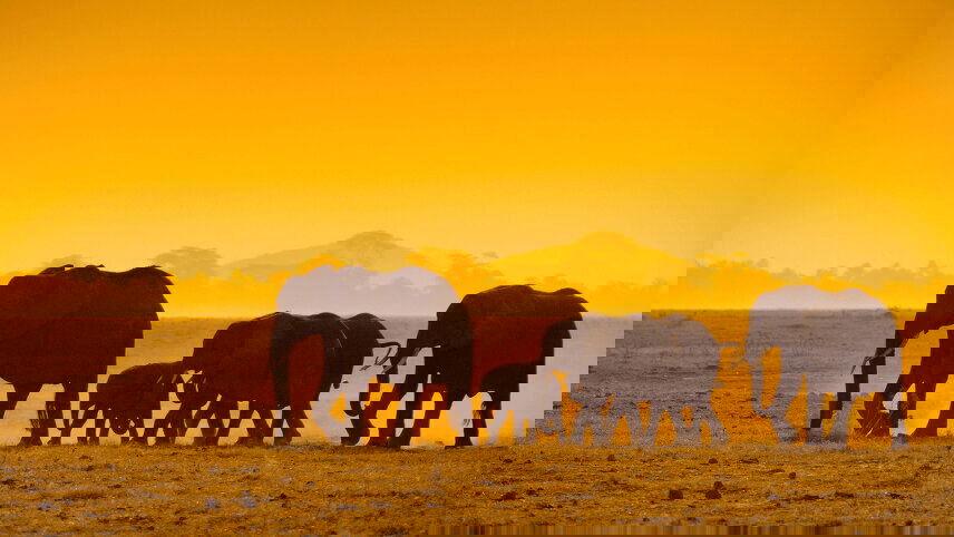 East Africa: Kenya, Tanzania & Zanzibar's Beaches