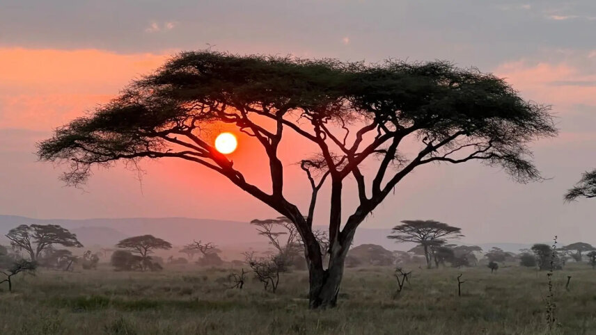 Maasai Mara Safari: Legendary Wildlife & Cultural Safari