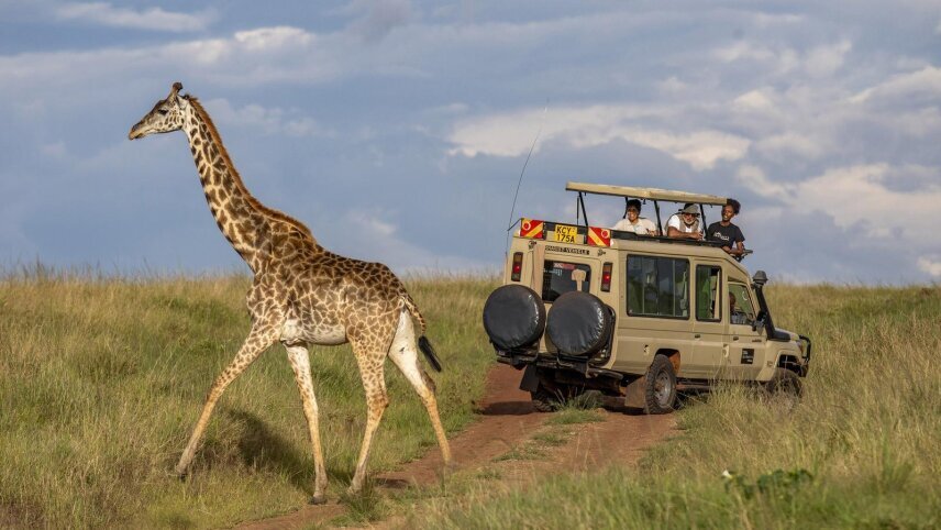 Kenya: Masai Mara, Tsavo & Coastal Wonders