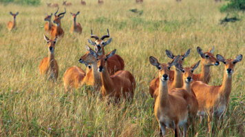 12 Day East Africa Discovery (G Adventures)