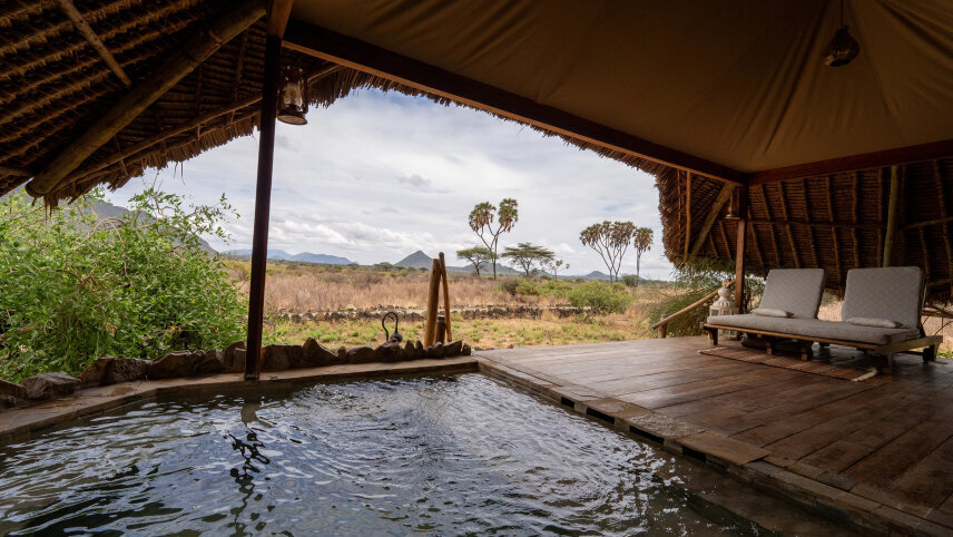 Signature: Kenya & Rwanda — From the Mara to the Mist