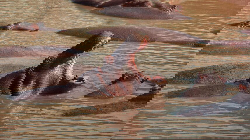 Kenya: Cultural Connections, Mt Kenya & Maasai Mara