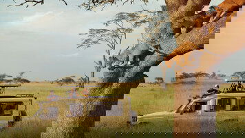 19 Day East Africa: Safari Drives, Mountain Hikes & Chimp Trekking (G Adventures)