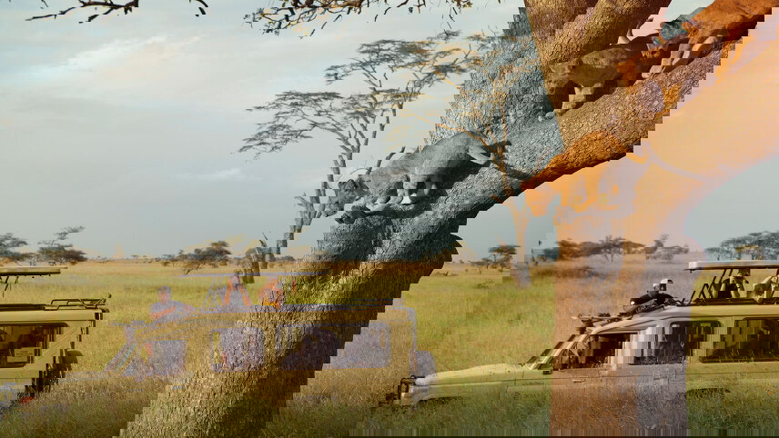 East Africa: Safari Drives, Mountain Hikes & Chimp Trekking