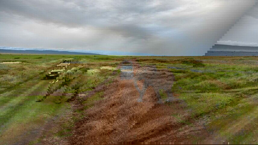 Kenya to Zimbabwe Overland Safari & Participation Camping