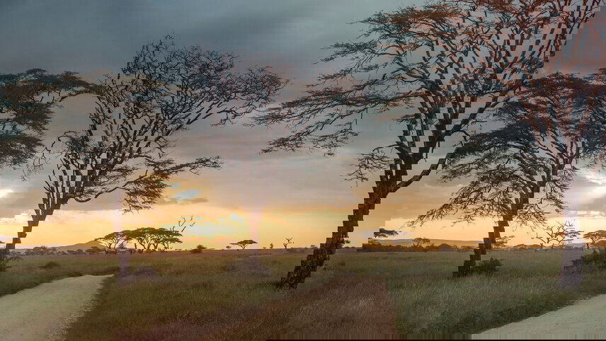 Kenya to Zimbabwe Overland Safari & Participation Camping