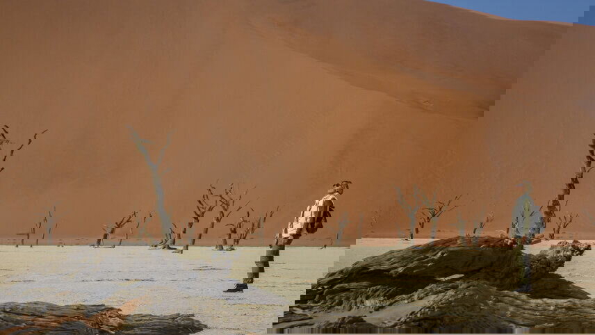 Namibia to Cape Town Overland Safari & Participation Camping