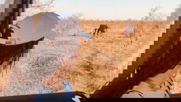 16 Day Best of Africa's Wildlife: Cape Town, Kruger, Hwange, & Chobe (G Adventures)