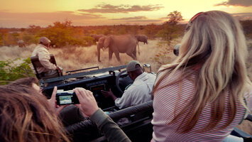 10 Day Solo-ish South Africa (G Adventures)