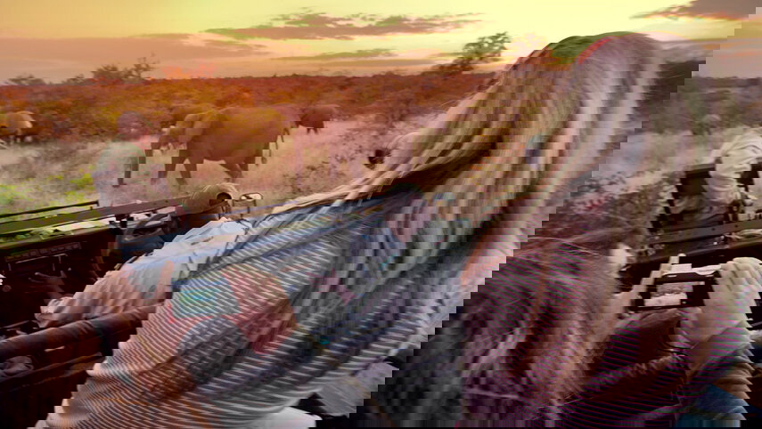 Solo-ish South Africa