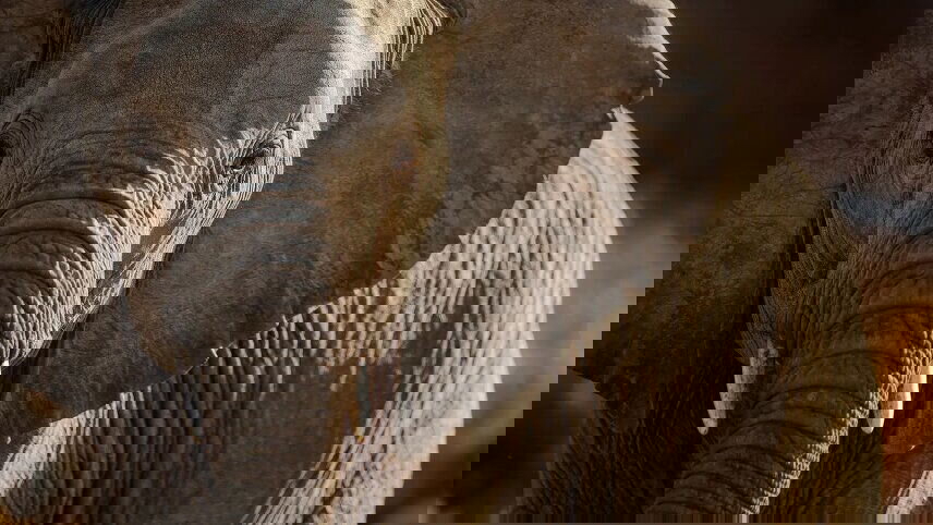 Signature: South Africa from Cape Town to Kruger