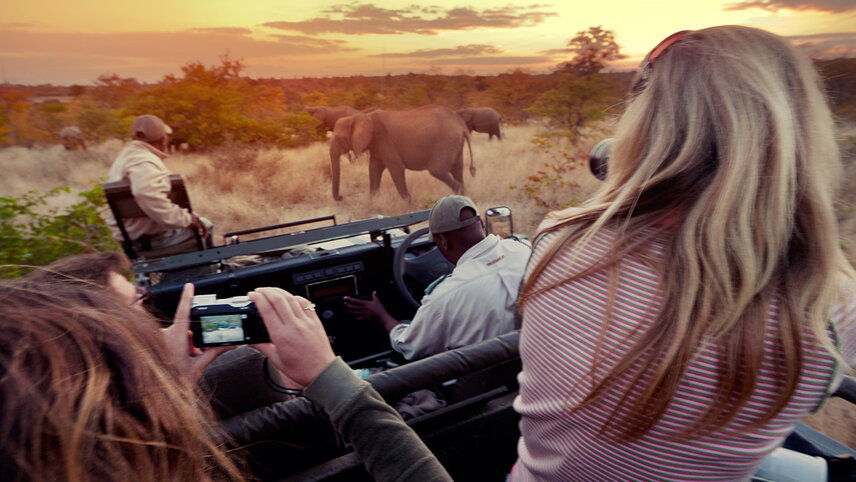 Cape Town, Kruger, & Victoria Falls Wildlife Safari