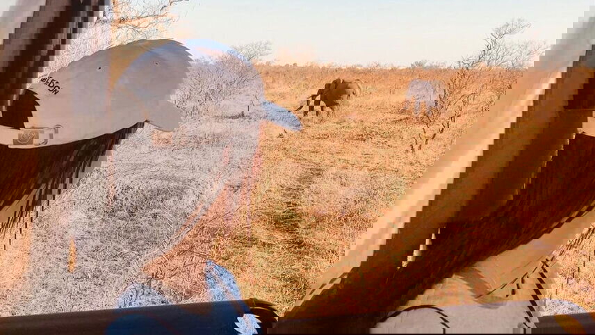 Unforgettable Africa: From Cape Town to the Okavango Delta