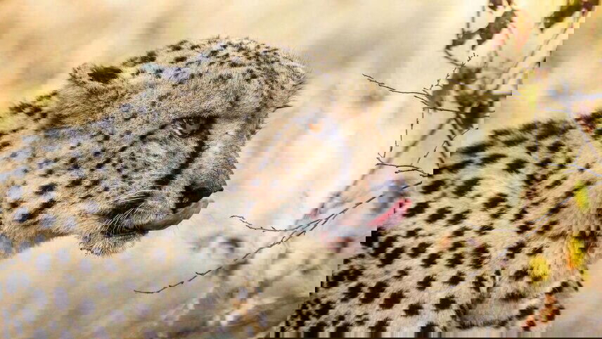 Highlights of South Africa