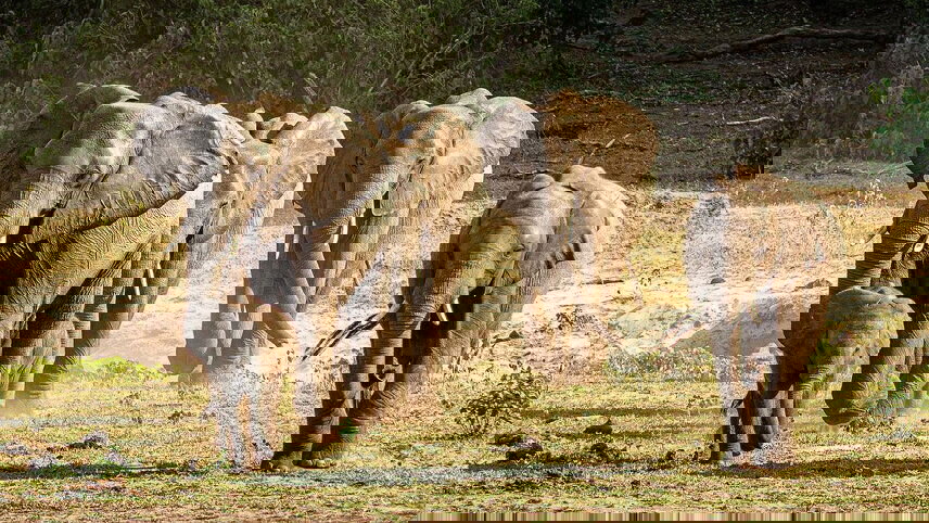 Cape Town to Victoria Falls Overland Safari & Participation Camping