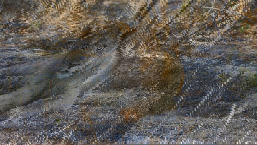 Cape Town to Namibia Overland Safari & Participation Camping