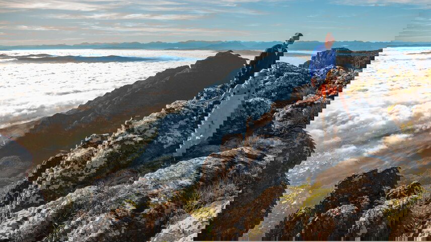 South Africa: Kruger Wildlife Tracking & Vineyards