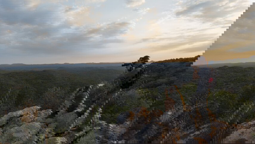 South Africa: Kruger Wildlife Tracking & Vineyards